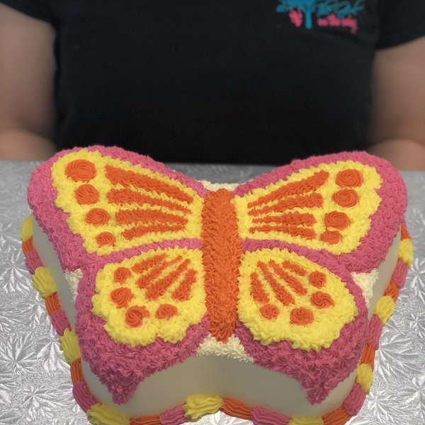 Orange, Pink and Yellow Butterfly Cake 