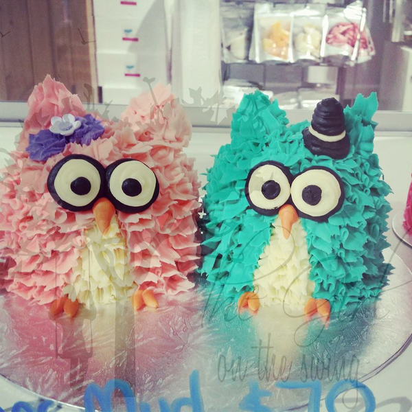 Mr and Mrs Owl Cakes