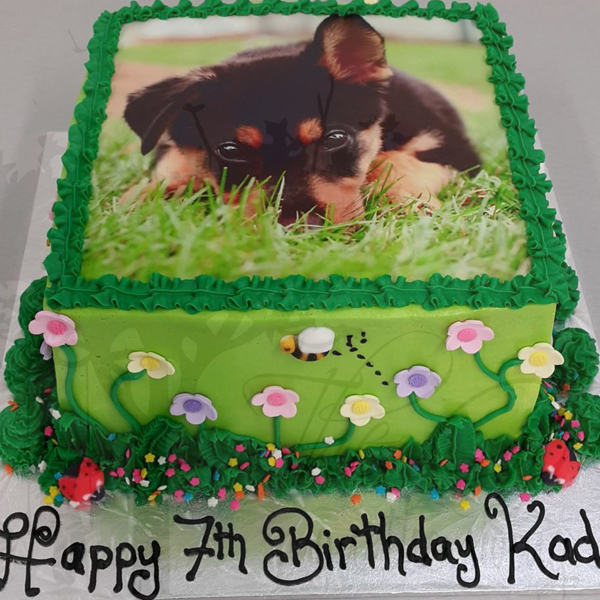 Square Garden Cake with Puppy Edible Image