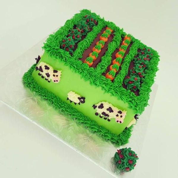 Vege Garden cake