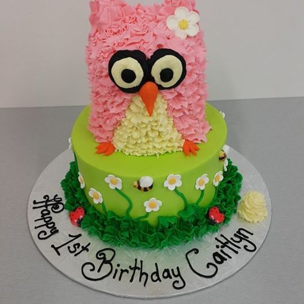 Garden Cake with 3D Owl